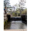 石神井公園の水場