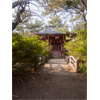 石神井公園、厳島神社 1