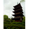 上野動物園の五重塔 1